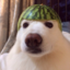 prastie