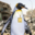 Pingvin301