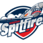 WindsorSpitsESports