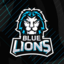 BlueLionsAcademy