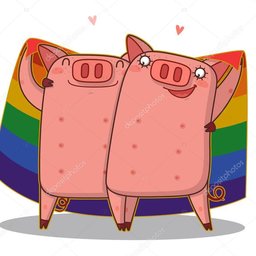 N7.Porc