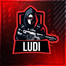 LUDI1111