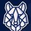 Wolves VŠB