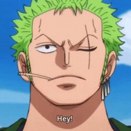 Roronoa Zoro#4234