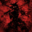 Muryx