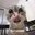 more-