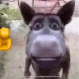 DonkeyGOD