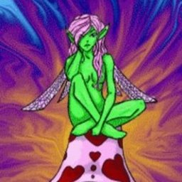 salvia 