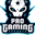 PRO GAMING ESPORTS