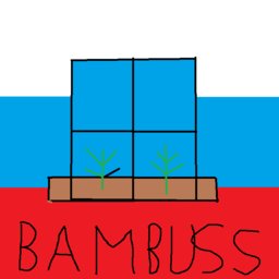Bambuss