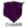 CroubN