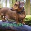 6paTuKu (was deleted at: 2022-10-16T15:32:11.5883456Z)