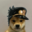 jojo pavelus fag#7342