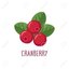 Happy Cranberry