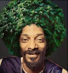 Gabriel-da-calça-algelical-ofc§