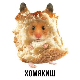 Pomo1ka (He ?e??)#