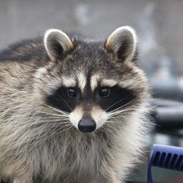 JohnPixel