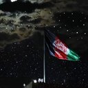 Real cricket world cup