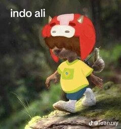 Vitor eu