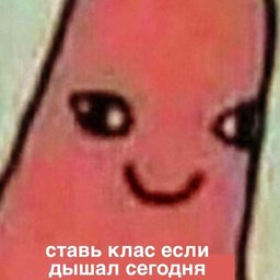 SliX228