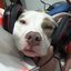 KIKADOS (was deleted at: 2023-03-09T21:29:12.8217561Z)