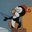 tnq-