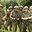 TropicThunder