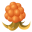 Happy Cloudberry