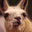 blankGODS (was deleted at: 2019-02-17T15:54:18.0187554Z)
