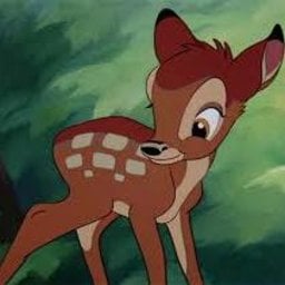 ambi2bambi