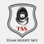 Team Silent Sky
