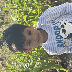 Mohit Mithani