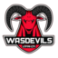 WASDEVILS LOL