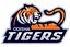 ODISHA TIGER