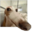 eogbz