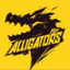 FGV Alligators