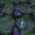 virgem slayer