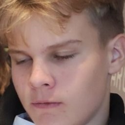 MehisMehiste