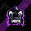 VDM E-SPORTS BR