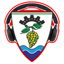 V. Mathiász NewLAN Party