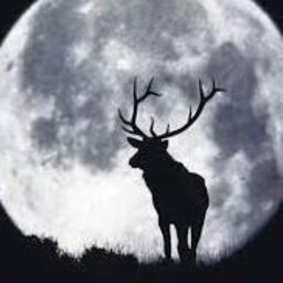 Nightdeer_