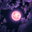 Moon T (was deleted at: 2022-01-23T13:01:35.7781808Z)