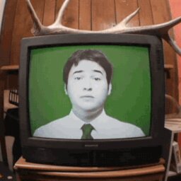 Not The Welsh Flamingo