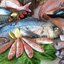 Pescado fresco