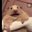 StachuMajster619