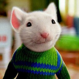 StuartAnt