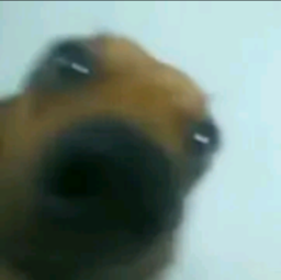 jaozinkkkkkkj