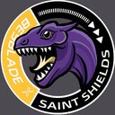 Saint Shield Club Vigevano