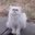 JustCaT