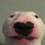 SonaldoEuw
